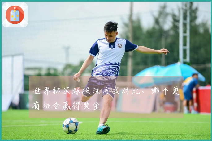 世界杯买球投注方式对比，哪个更有机会赢得奖金