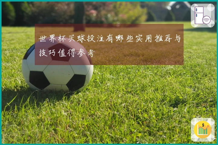 世界杯买球投注有哪些实用推荐与技巧值得参考