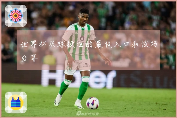世界杯买球投注的最佳入口和技巧分享