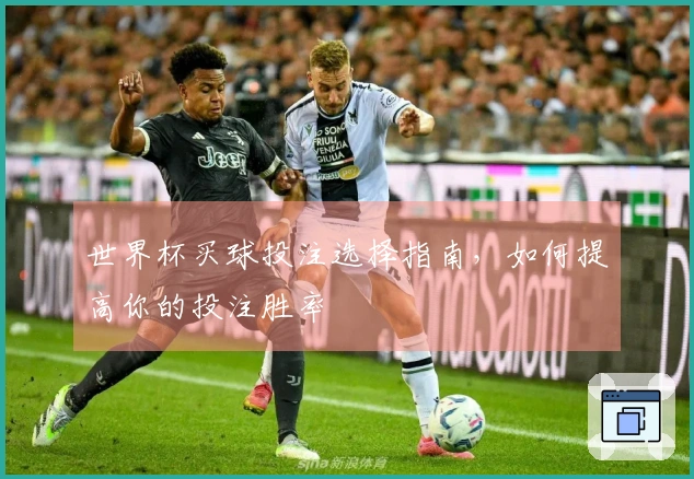 世界杯买球投注选择指南，如何提高你的投注胜率