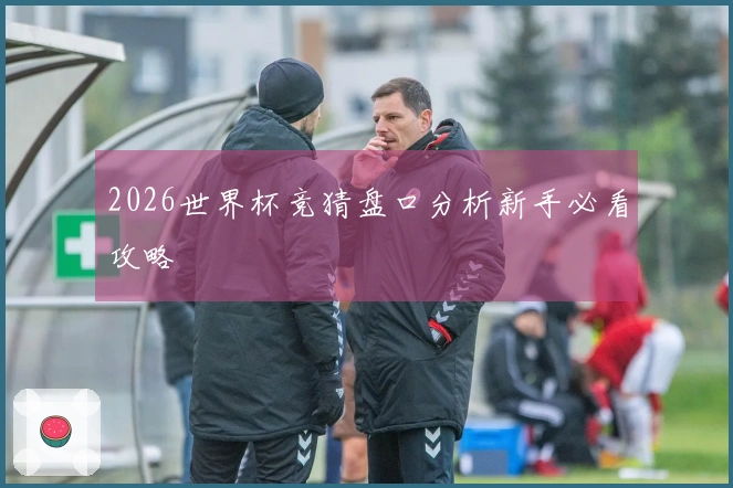 2026世界杯竞猜盘口分析新手必看攻略