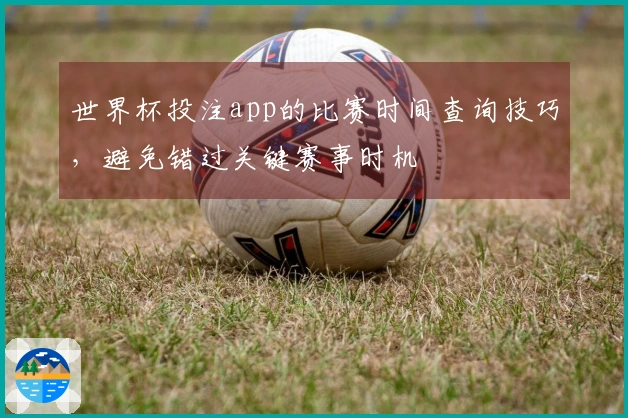 世界杯投注app的比赛时间查询技巧，避免错过关键赛事时机