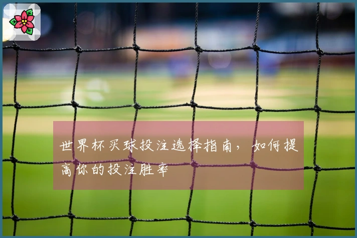 世界杯买球投注选择指南,如何提高你的投注胜率
