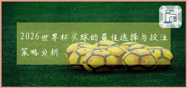 2026世界杯买球的最佳选择与投注策略分析