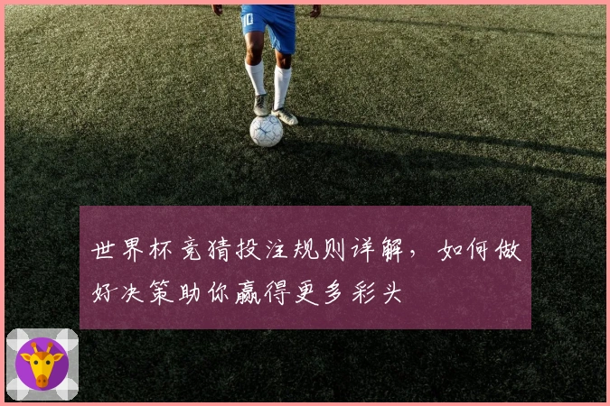 世界杯竞猜投注规则详解，如何做好决策助你赢得更多彩头