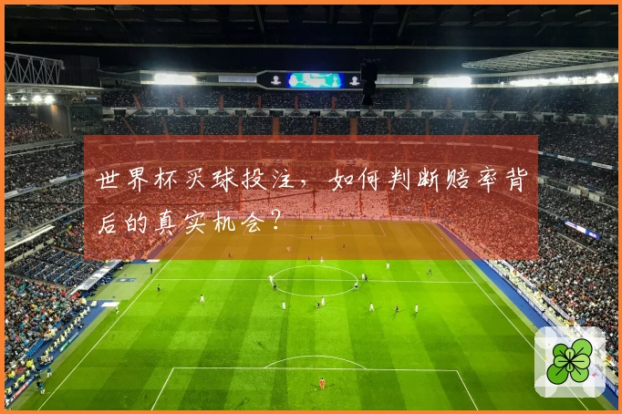 世界杯买球投注，如何判断赔率背后的真实机会？