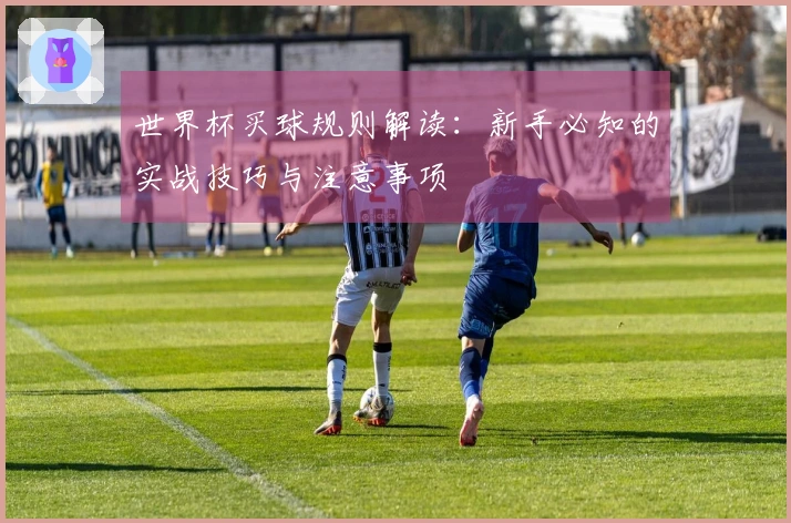 世界杯买球规则解读：新手必知的实战技巧与注意事项