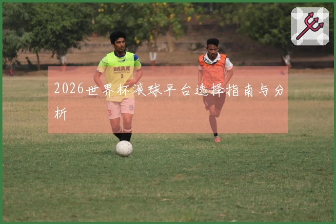 2026世界杯滚球平台选择指南与分析