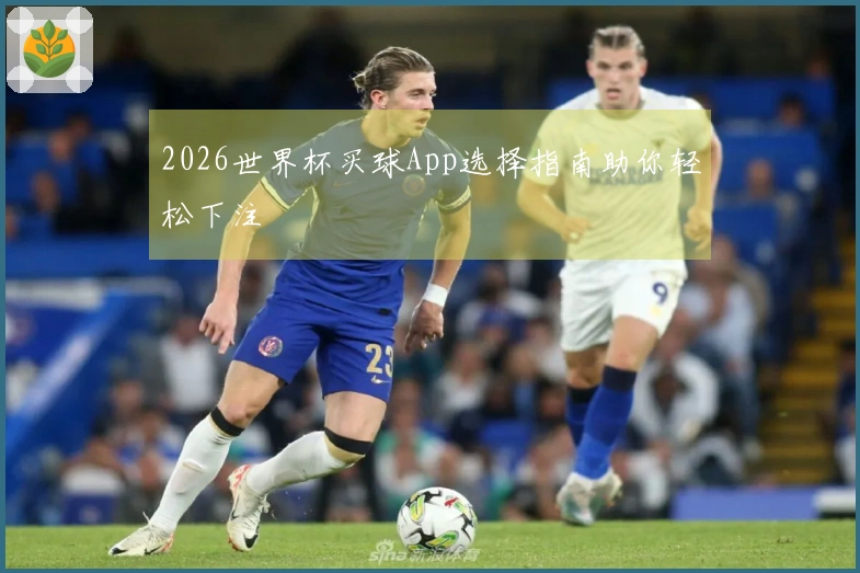 2026世界杯买球App选择指南助你轻松下注