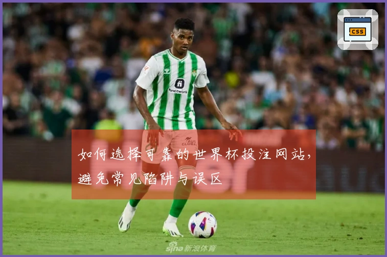 如何选择可靠的世界杯投注网站，避免常见陷阱与误区