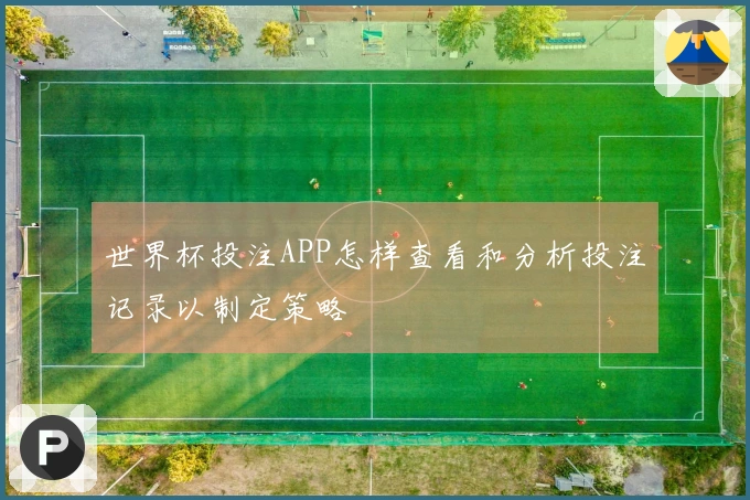 世界杯投注APP怎样查看和分析投注记录以制定策略