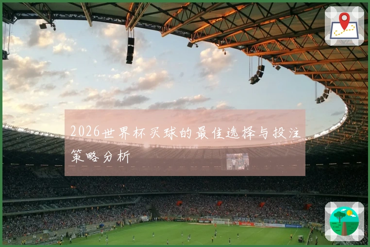 2026世界杯买球的最佳选择与投注策略分析
