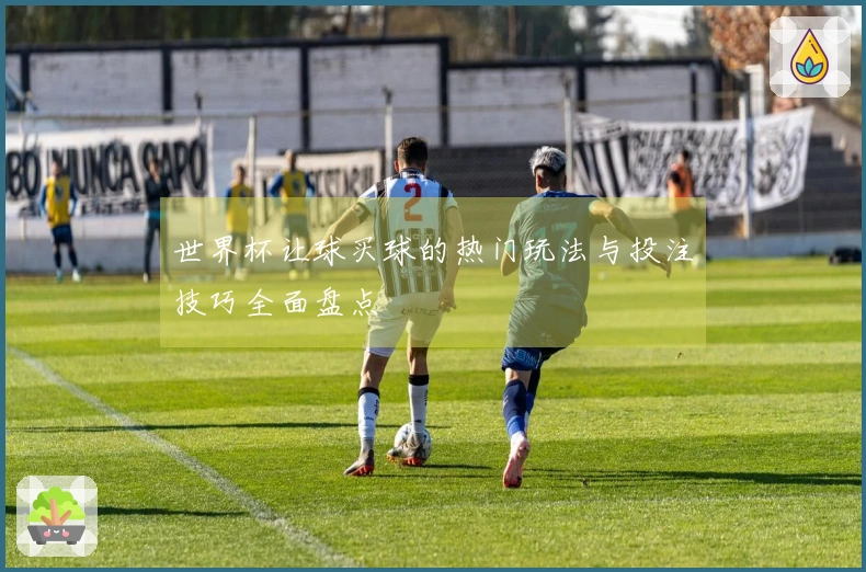 世界杯让球买球的热门玩法与投注技巧全面盘点