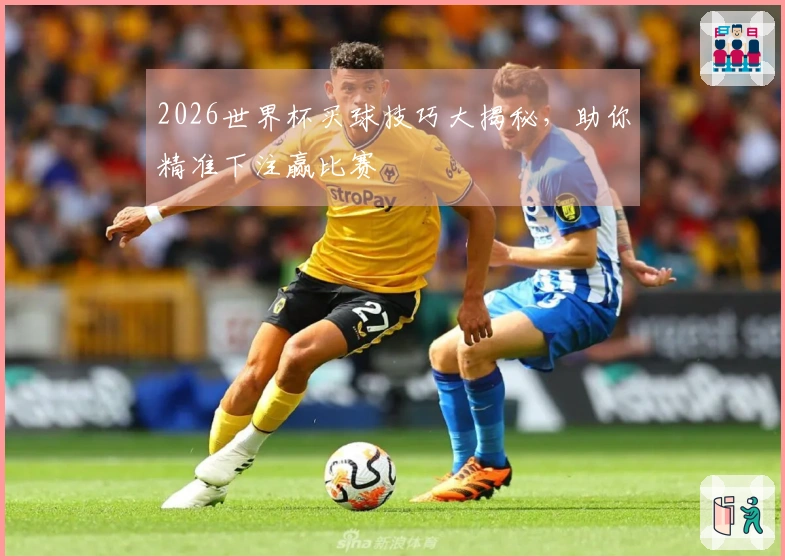 2026世界杯买球技巧大揭秘，助你精准下注赢比赛