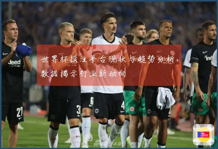 世界杯投注平台现状与趋势分析，数据揭示行业新动向