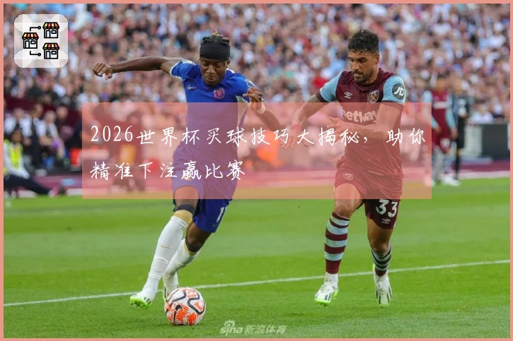 2026世界杯买球技巧大揭秘，助你精准下注赢比赛
