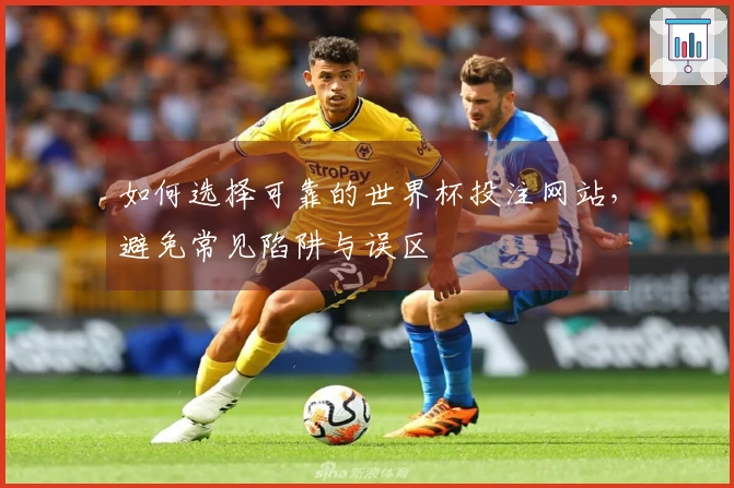 如何选择可靠的世界杯投注网站，避免常见陷阱与误区
