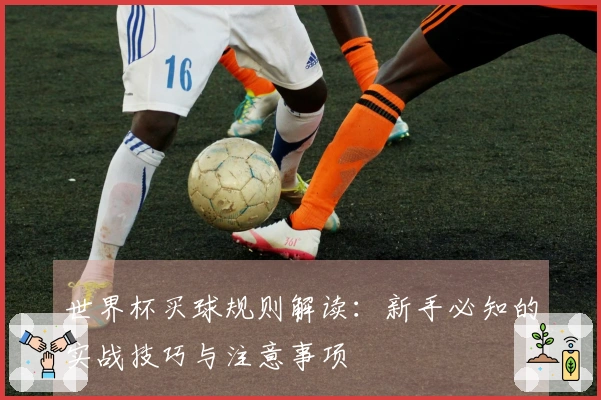 世界杯买球规则解读：新手必知的实战技巧与注意事项
