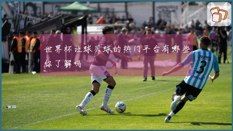 世界杯让球买球的热门平台有哪些你了解吗