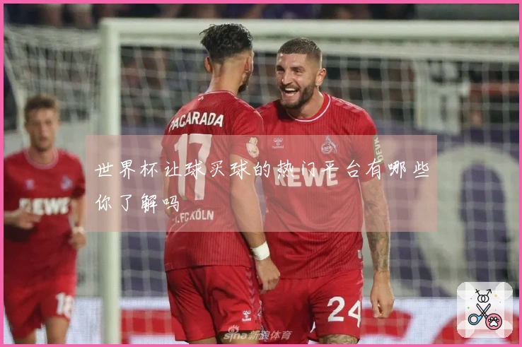 世界杯让球买球的热门平台有哪些你了解吗