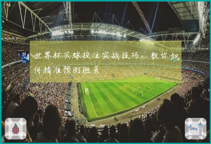 世界杯买球投注实战技巧，教你如何精准预测胜负