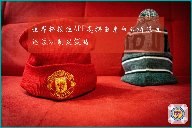 世界杯投注APP怎样查看和分析投注记录以制定策略